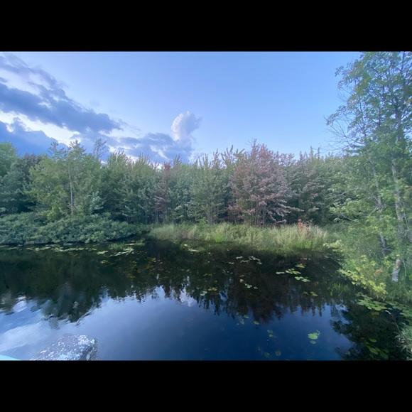 Meet your Posher, Brian - Picture 1 of 1